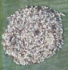 weaver ants eggs, ready to be coocked in an omelette