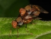 crw_4305